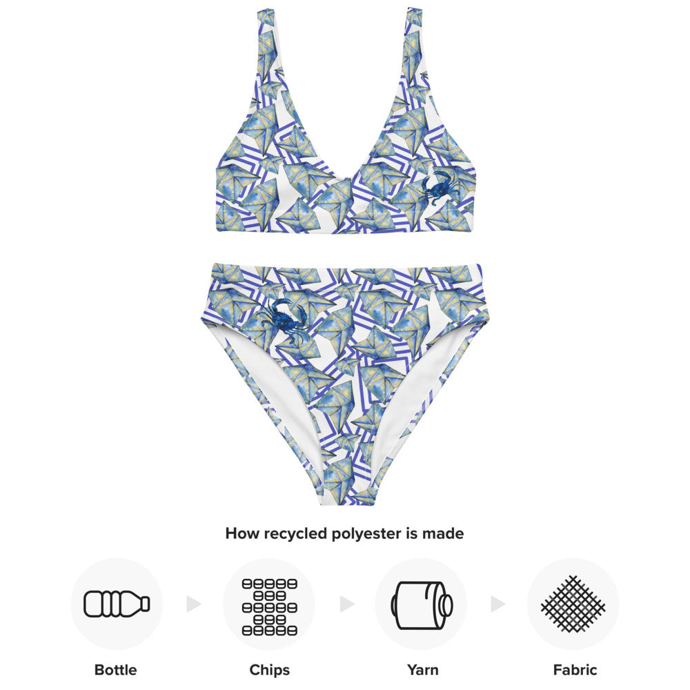 Blue Crab Recycled high waisted bikini